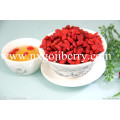 Ningxia Zhongning Gojiberry para vendas